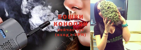 ПСИЛОЦИБИНОВЫЕ ГРИБЫ Аркадак
