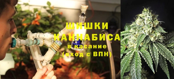 шишки Армянск