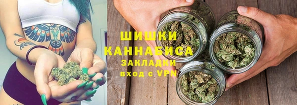 шишки Армянск