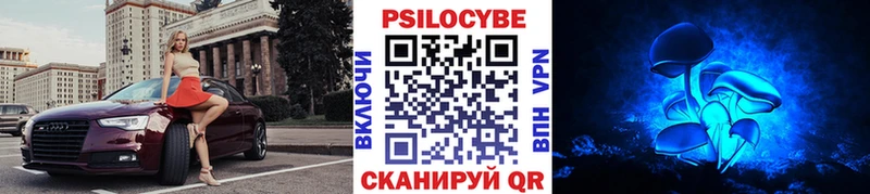 Псилоцибиновые грибы GOLDEN TEACHER  Рыбинск 